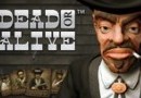 Dead_Or_Alive_winner