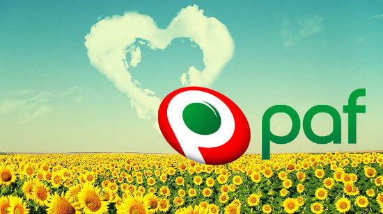Win Over  500k at Paf’s End of Summer Offers