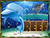 b3f43e79dc2fb49ec28887ad94ccadffdolphins_reef