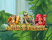 9de21dd21868801ae71f6eb6b54d17f5NEWS_WildTurkey_0