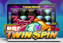 Guts_twinspinbg 130x90