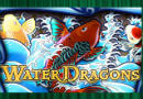 waterdragons 130 x 90