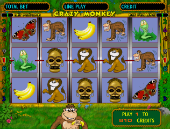 crazy_monkey_170x130
